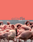 Catálogo Colorfix de Cores e Tendências 2019